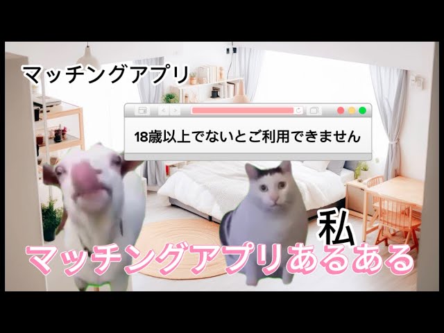【猫ミーム】JKがマッチングアプリしてみた#猫ミーム #猫ミーム日常 #ねこミーム