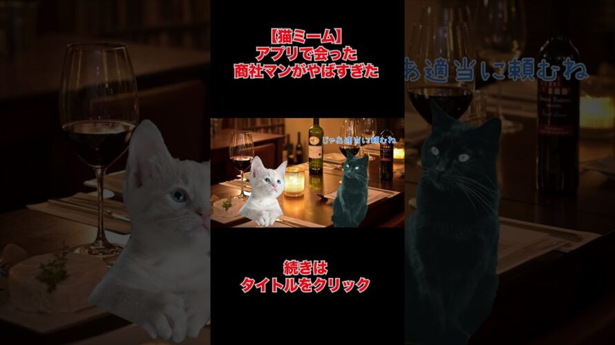 【猫ミーム】マッチングアプリでまじでやばい商社マンと会った #猫ミーム #マッチングアプリ #猫マニ