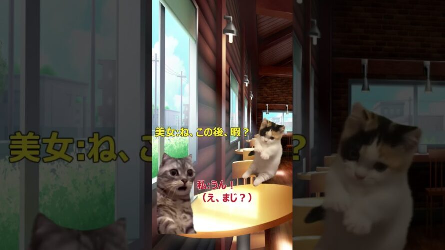 【猫ミーム】マッチングアプリ猫　2ndシーズン　 #猫ミーム  #猫マニ #マッチングアプリ