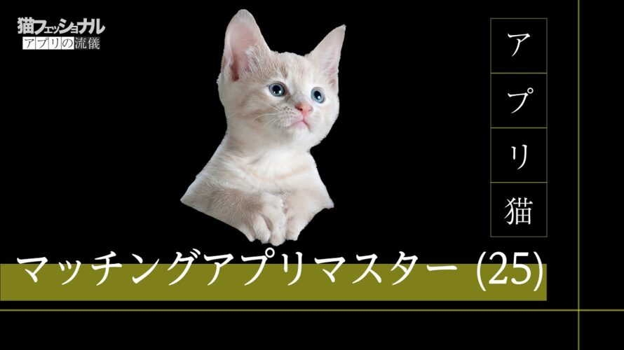 【猫ミーム×プロフェッショナル】マッチングアプリ5年目のアプリの流儀