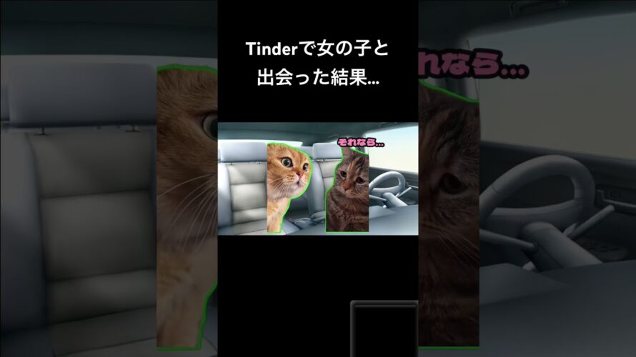 漢はTinderに夢を見る #猫ミーム #マッチングアプリ #Tinder #雑学 #恋愛 #都市伝説 #cat #catmemes
