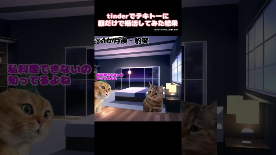 【猫ミーム】マッチングアプリで出会った大人しめの女、だいたいこれ設。ひきこもってないときは赤坂は遊びに行っていまーす