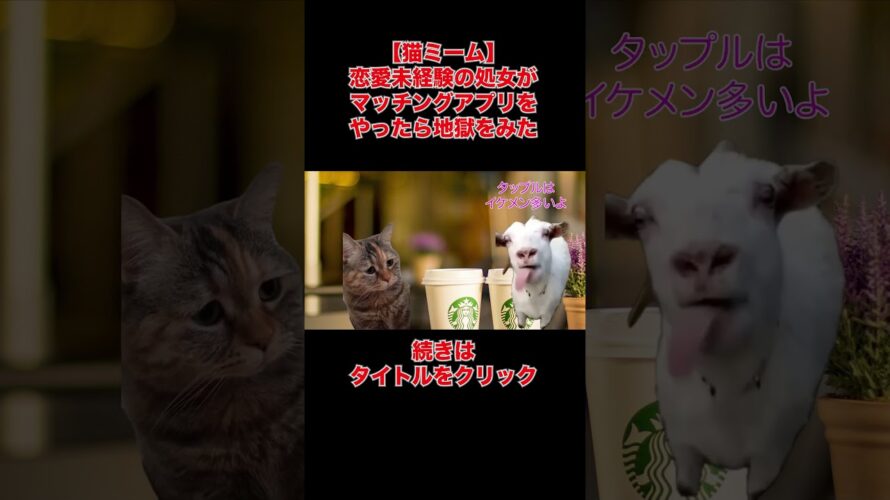 【猫ミーム】恋愛未経験の処女がマッチングアプリをやったらとんでもないことに #猫ミーム #マッチングアプリ #猫マニ