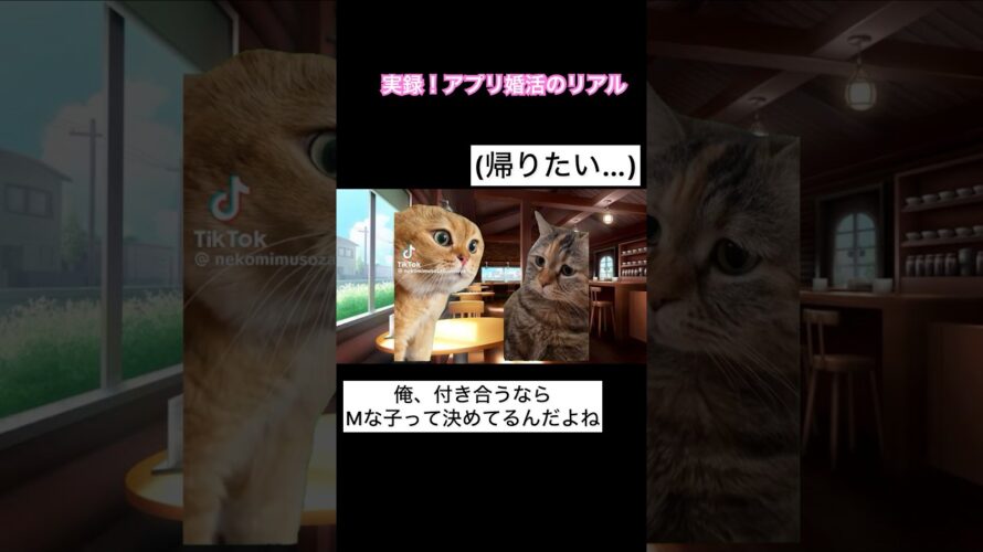 実録！これがマッチングアプリ婚活のリアル#猫ミーム#婚活#アプリ婚活#マッチングアプリ
